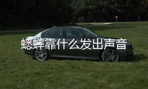蟋蟀么发靠什音出声