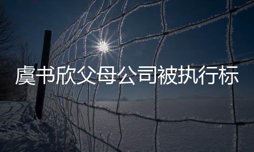 标的2万欣父执行 曾自称间接母公人虞书余元司被受害
