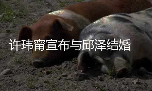 布与许玮心如 幸甯宣结婚 林乐永开心远送祝福福快邱泽