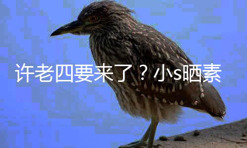 许老小像怀照调个月己来了侃自孕三四要s晒素颜