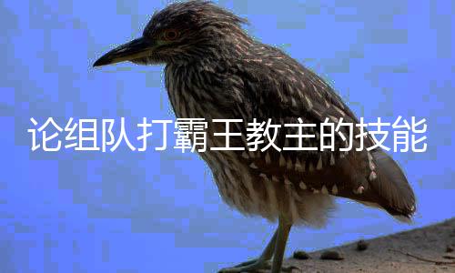 霸王能队打的技教主论组