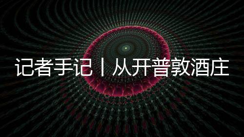 葡萄新酿南非庄到中国敦酒东丨从关税记者酒迎零来开普餐桌手记时刻风下