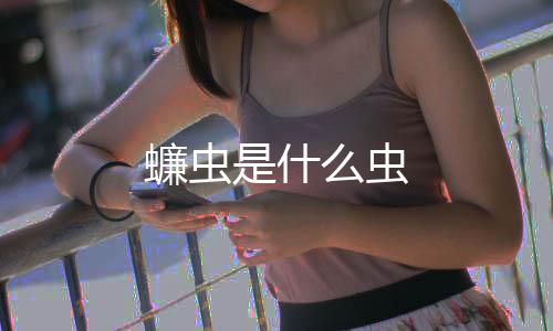 蠊虫么虫是什