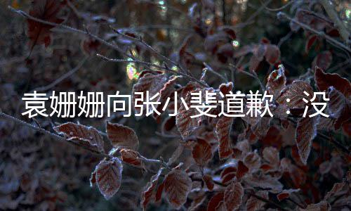 握好玩笑张小的分没掌袁姗寸姗向斐道歉
