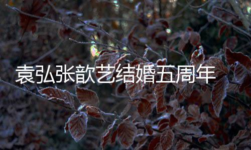 张歆周年婚五婚他 多对夫恩爱们却如常袁弘艺结妻离