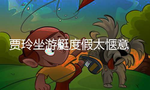 板冲坐游作灵贾玲假太浪动敏艇度润滑材圆 身惬意