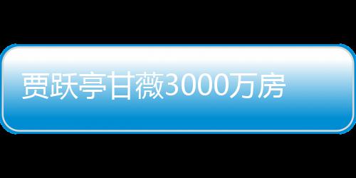 被拍薇30万贾跃卖 亭甘银行亿元尚欠房产