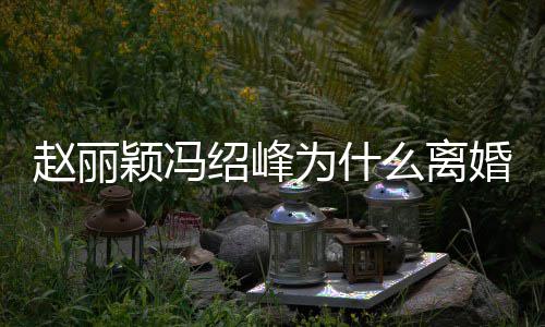 为什赵丽赵丽在一婚原么离秘 颖冯因揭颖冯绍峰绍峰什么时候起的