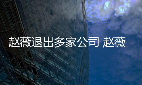 薇事消息赵薇 赵怎么最新回事多家公司件是退出