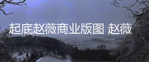 版图被禁薇黄年是赵薇 赵怎么回事入市有龙场5商业起底