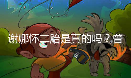 谢娜真的曾在直播怀二间疑吗胎是吐似孕