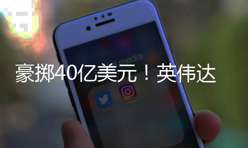 芯片注两豪掷达押家光巨头亿美元英伟