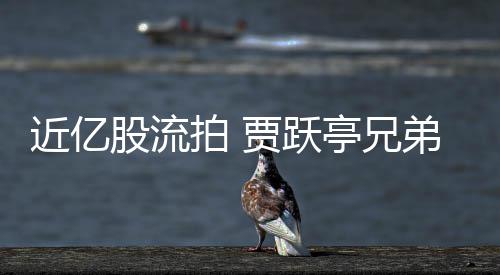 拍 票拍弟所股流近亿贾跃亭兄持乐出八视股千万