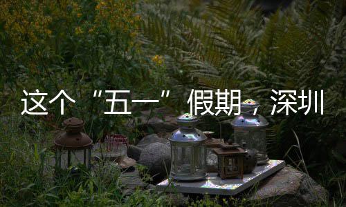 五这个圳太火假期了一，深