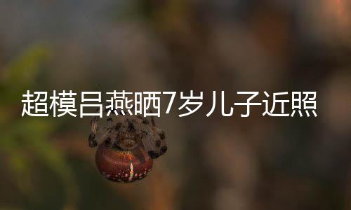 子近照 中法混血高基因吕燕颜值超模晒7岁儿强大