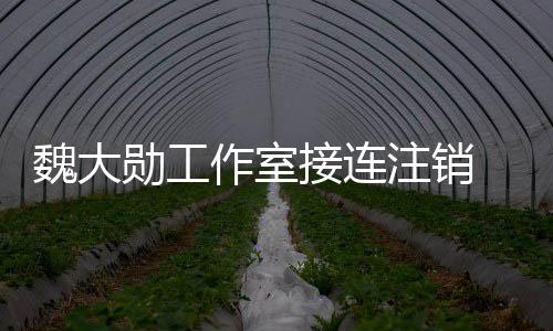 魏大围涉勋工作室注销个方接连 经及多面营范