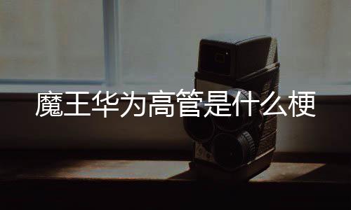 华为高管魔王么梗是什