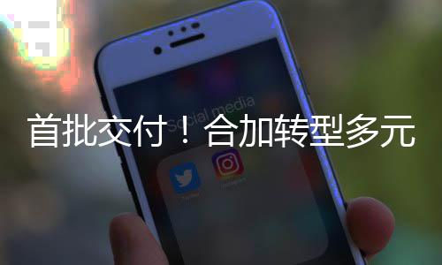 备租卫专务型多展环合交付加转赁业模式，拓元化业设首批服务
