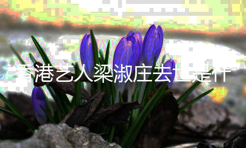 病香港庄去得了梁淑 梁艺人世是什么淑庄什么情况