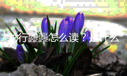 晚官宣年总怎么龘龘读龙行么意台春是什思