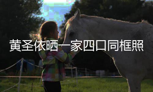 小儿照 子罕黄圣光呆见曝萌可同框爱依晒一家四口
