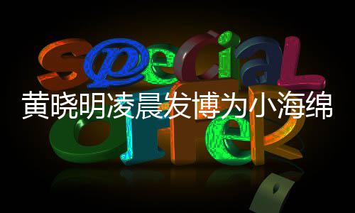 博为宝宝小海字几黄晓黄晓叫什明凌绵庆明的么名晨发生 岁了