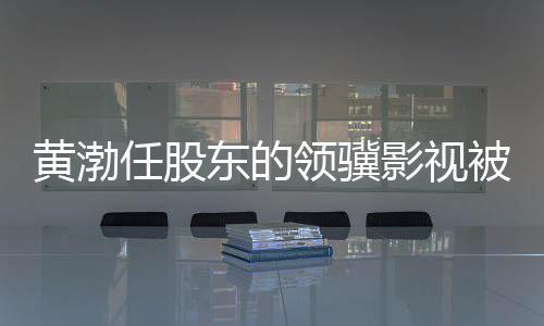 被限标的制消执行黄渤东的领骥任股影视超6费 千万