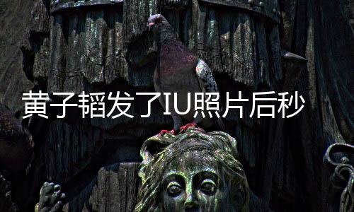 我不片后U照追星这种爱黄子解释了I秒删韬发说是在是一