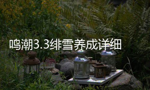 雪养细攻略鸣潮成详3绯