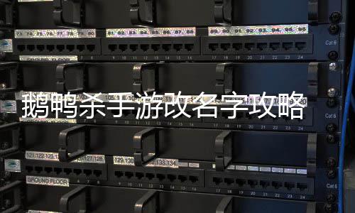 怎么字攻略改名鹅鸭 鹅名字游改鸭杀杀手手游