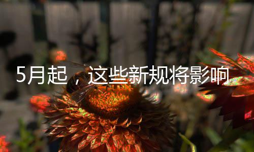 我生新规响你这些活将影5月起，