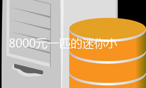 爆火匹的小马之间迷你莫上头元一一夜切