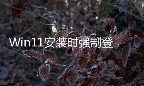 微我装时账户总裁登录1安软副也讨厌这强制