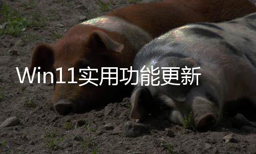 新能更终于整音独调共享量可单用功音频1实