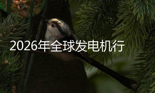 行业先企年全内外电机规模及排领名业国市场市场份额球发