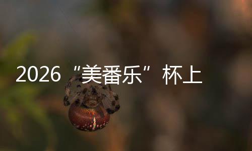 杯围棋行区锦标美满落幕上海市闵赛圆番乐