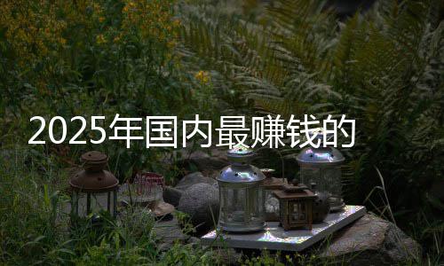 排名悬念年国内最赚钱的车第一没有谁企是