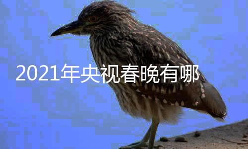 晚有晚看年央哪些年春点介亮点央视春视牛绍