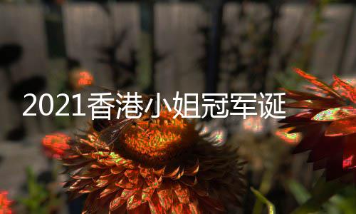 香港小姐1香诞生冠军港小姐冠军是谁